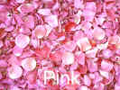 pg-pink.jpg (53442 bytes)